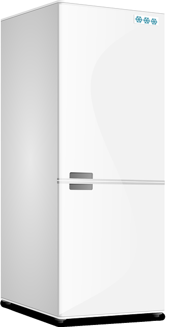 finanziamento acquisto frigorifero